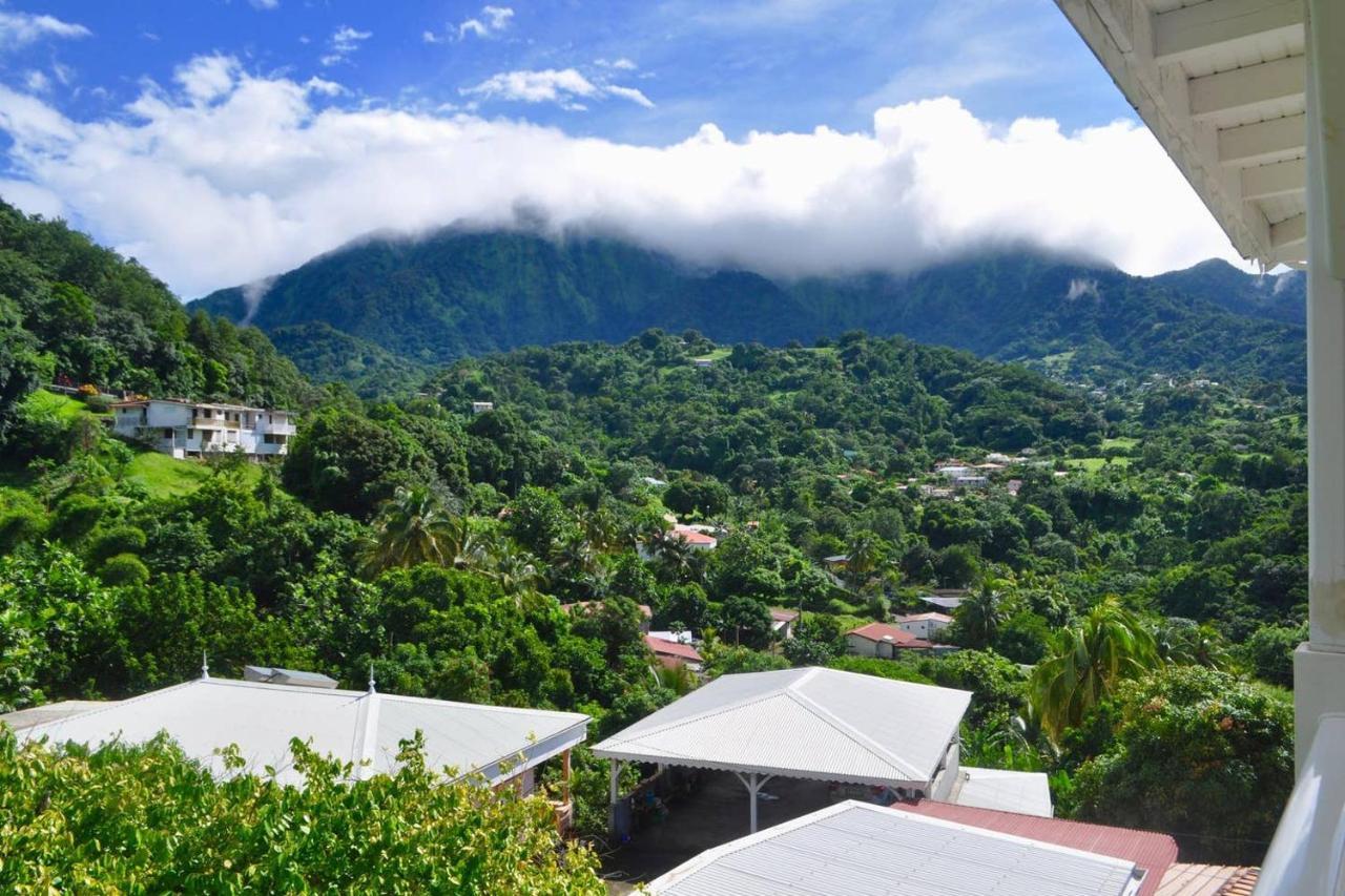 Le Colibri Vert Le Morne-Vert Exteriör bild